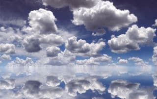 Cloudy Forest - StorIT